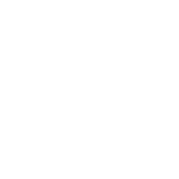 iDigicode